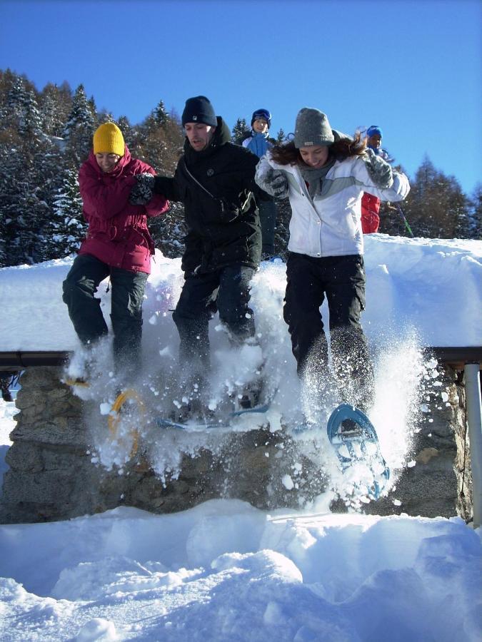 Casa Del Parco Dell'Adamello Di Vezza D'Oglio Hostel ภายนอก รูปภาพ