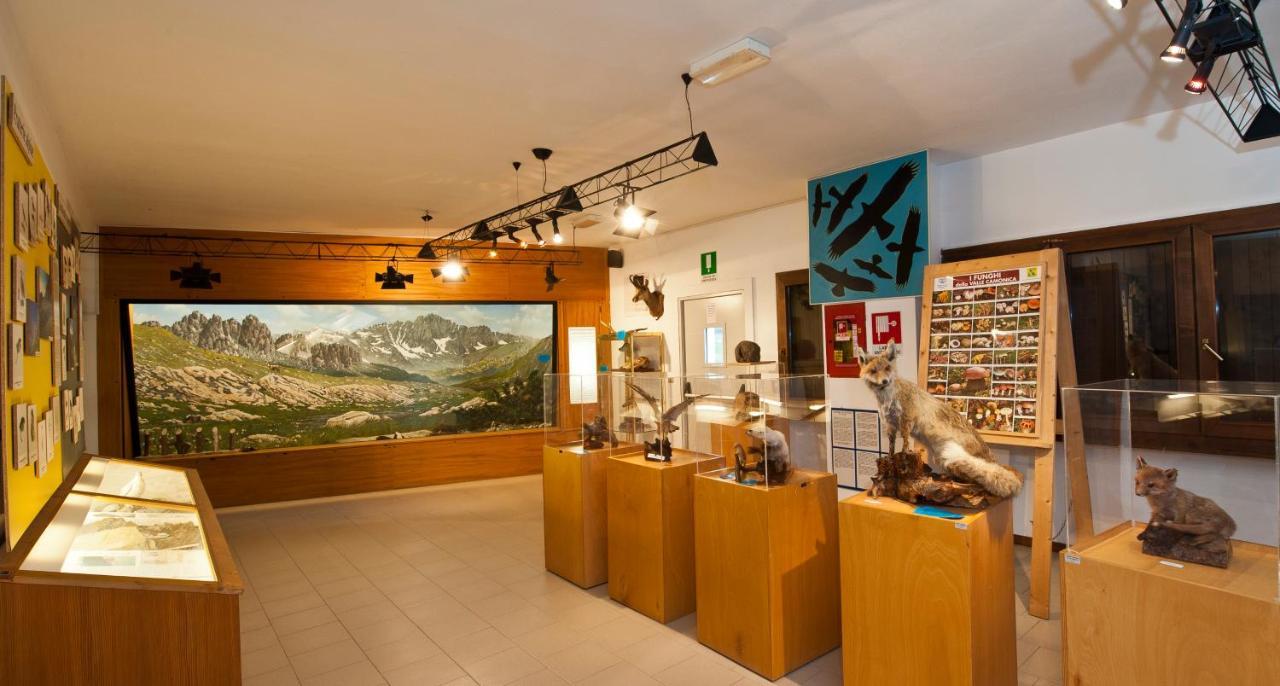 Casa Del Parco Dell'Adamello Di Vezza D'Oglio Hostel ภายนอก รูปภาพ