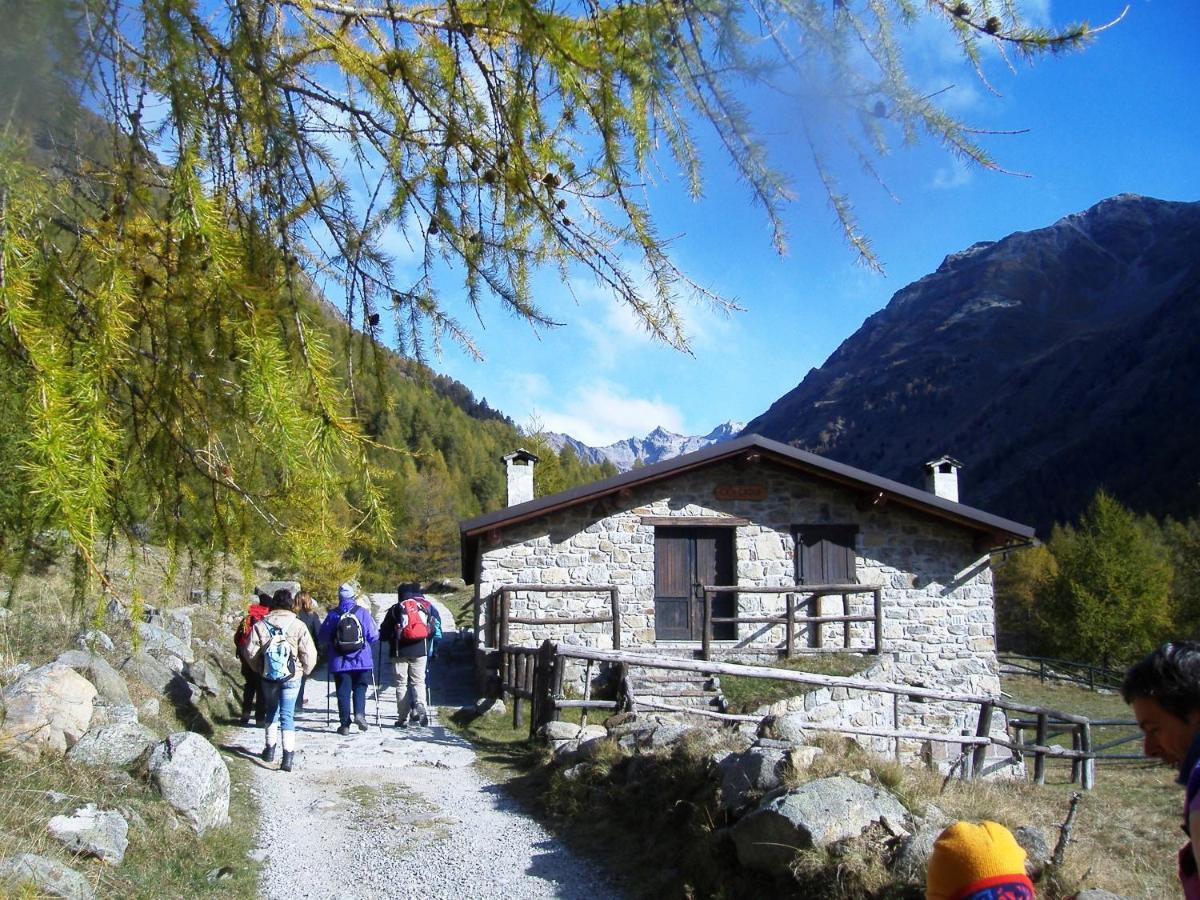 Casa Del Parco Dell'Adamello Di Vezza D'Oglio Hostel ภายนอก รูปภาพ
