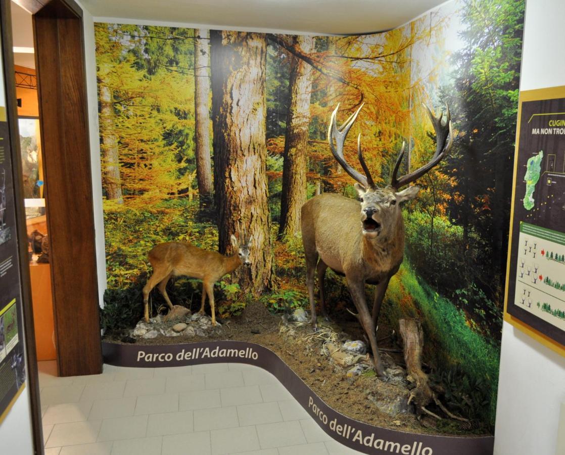 Casa Del Parco Dell'Adamello Di Vezza D'Oglio Hostel ภายนอก รูปภาพ