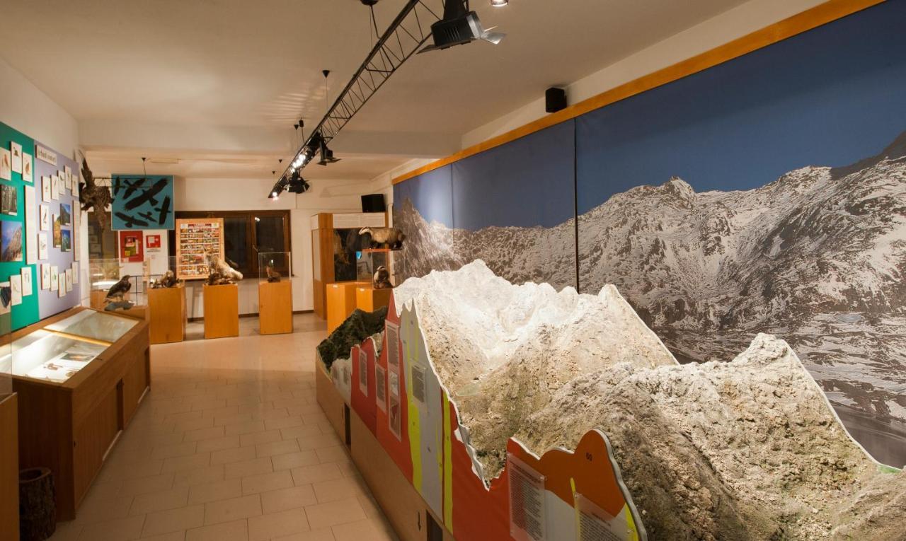 Casa Del Parco Dell'Adamello Di Vezza D'Oglio Hostel ภายนอก รูปภาพ